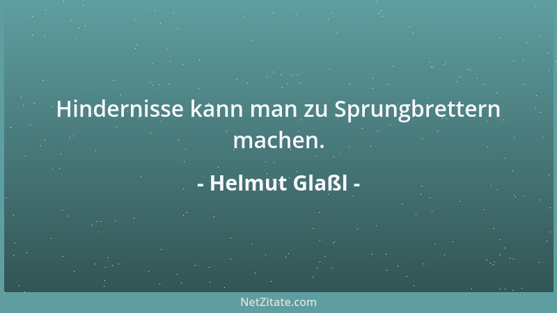 Helmut Glaßl - Hindernisse kann man zu Sprungbrettern machen....
