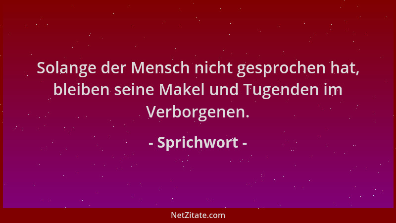 Sprichwort - Solange der Mensch nicht gesprochen hat, bleiben seine Makel und Tugenden im Verborgenen....