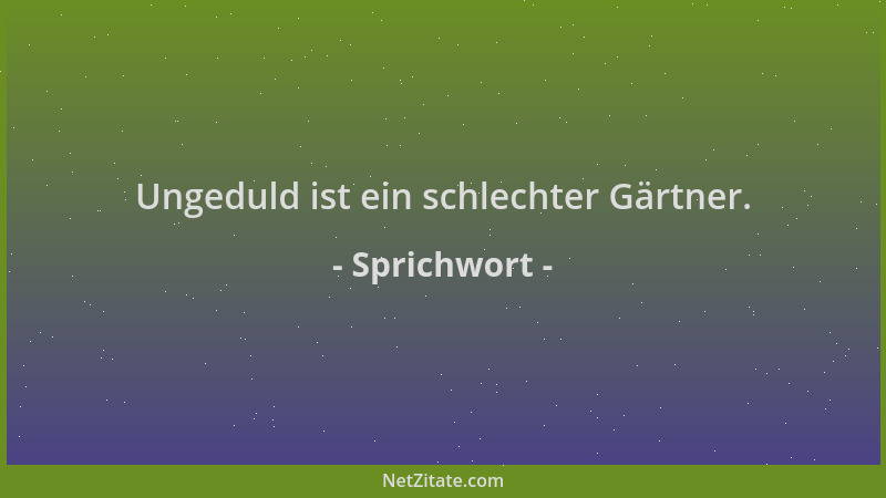 Sprichwort - Ungeduld ist ein schlechter Gärtner....