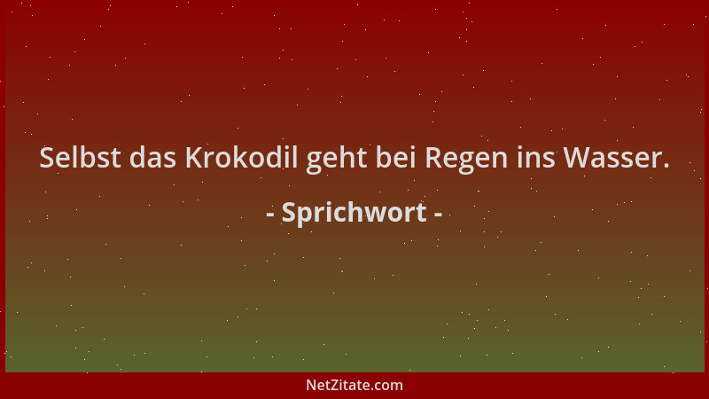 Sprichwort - Selbst das Krokodil geht bei Regen ins Wasser....