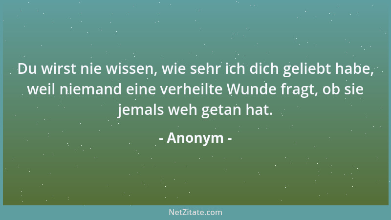 Anonym - Du wirst nie wissen, wie sehr ich dich geliebt habe, weil niemand eine verheilte Wunde fragt, ob sie jemals weh ge...
