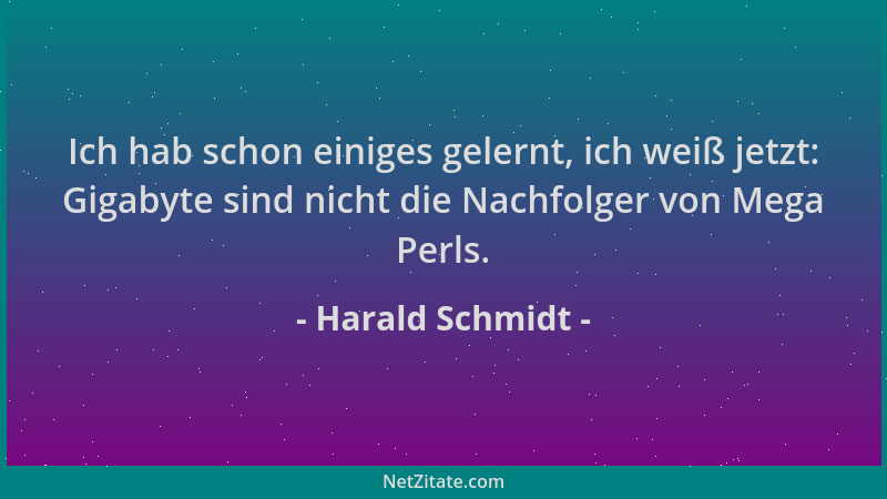 Harald Schmidt - Ich hab schon einiges gelernt, ich weiß jetzt: Gigabyte sind nicht die Nachfolger von Mega Perls....