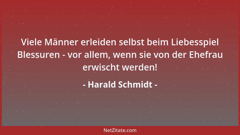 Harald Schmidt - Viele Männer erleiden selbst beim Liebesspiel Blessuren - vor allem, wenn sie von der Ehefrau erwischt wer...