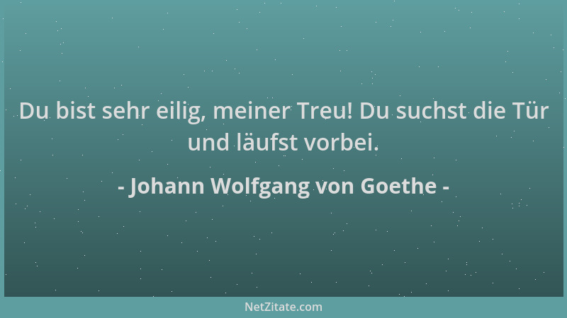 Johann Wolfgang von Goethe - Du bist sehr eilig, meiner Treu! Du suchst die Tür und läufst vorbei....
