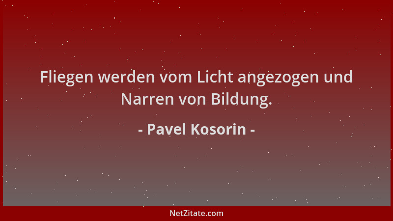 Pavel Kosorin - Fliegen werden vom Licht angezogen und Narren von Bildung....