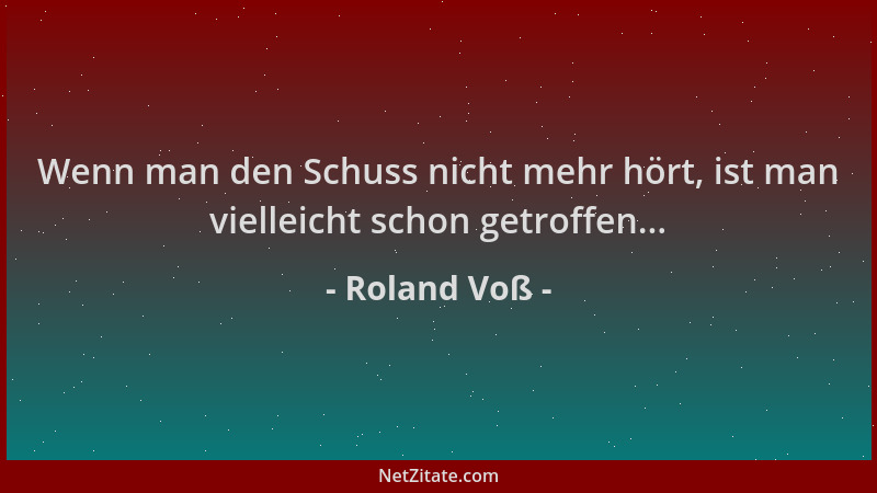 Roland Voß - Wenn man den Schuss nicht mehr hört, ist man vielleicht schon getroffen......