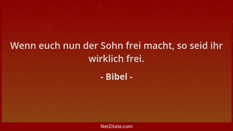 Bibel - Wenn euch nun der Sohn frei macht, so seid ihr wirklich frei....