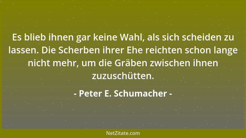 Peter E. Schumacher - Es blieb ihnen gar keine Wahl, als sich scheiden zu lassen. Die Scherben ihrer Ehe reichten schon lan...