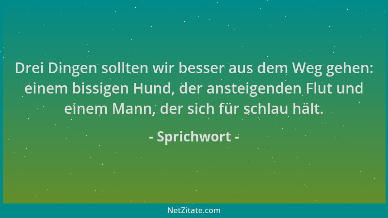 Sprichwort - Drei Dingen sollten wir besser aus dem Weg gehen: einem bissigen Hund, der ansteigenden Flut und einem Mann, d...