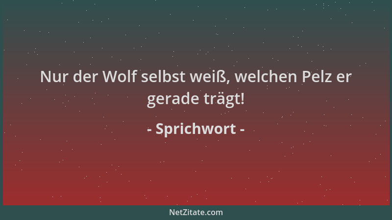 Sprichwort - Nur der Wolf selbst weiß, welchen Pelz er gerade trägt!...