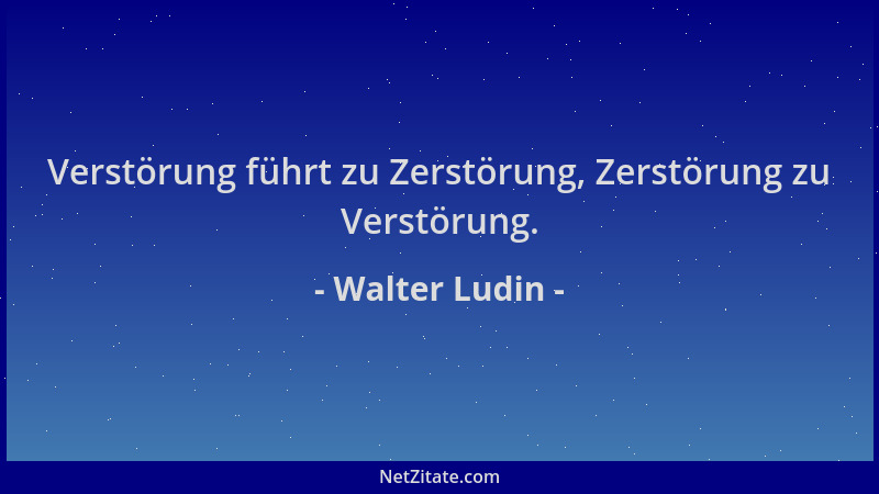 Walter Ludin - Verstörung führt zu Zerstörung, Zerstörung zu Verstörung....
