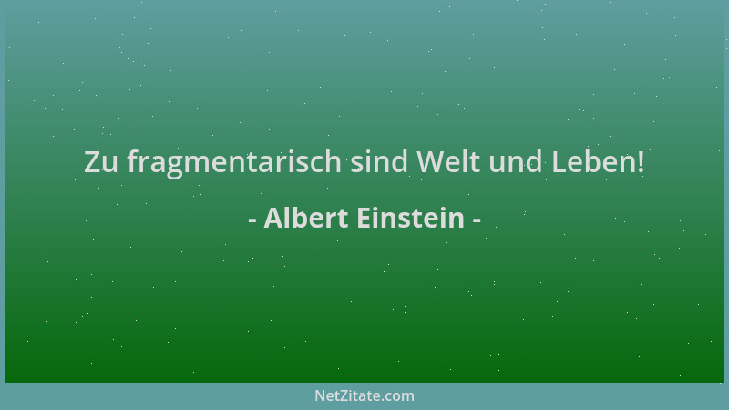 Albert Einstein - Zu fragmentarisch sind Welt und Leben!...