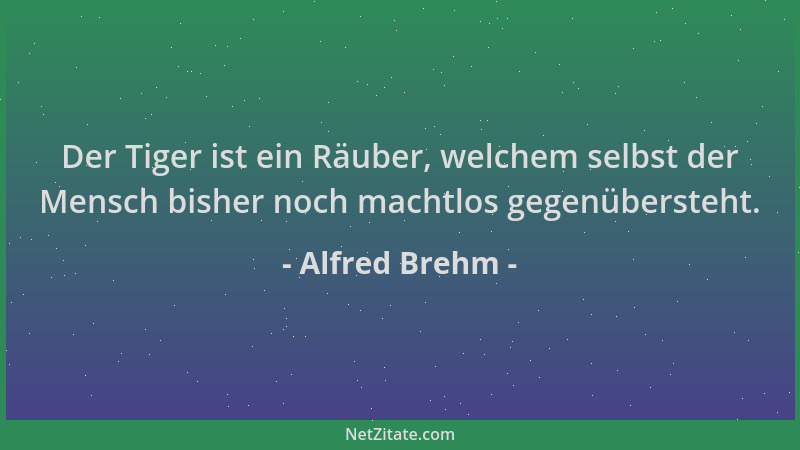 Alfred Brehm - Der Tiger ist ein Räuber, welchem selbst der Mensch bisher noch machtlos gegenübersteht....