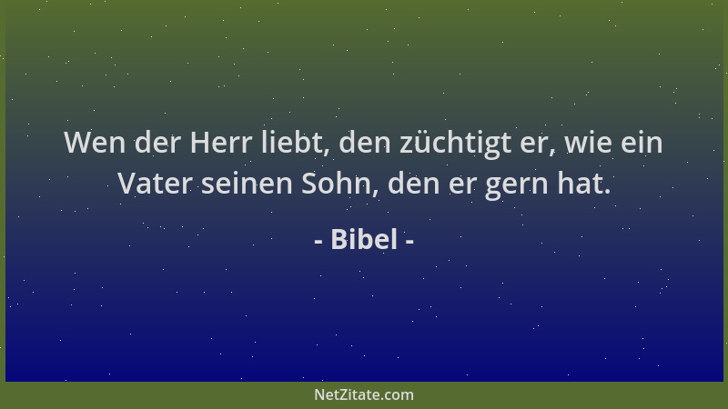 Bibel - Wen der Herr liebt, den züchtigt er, wie ein Vater seinen Sohn, den er gern hat....