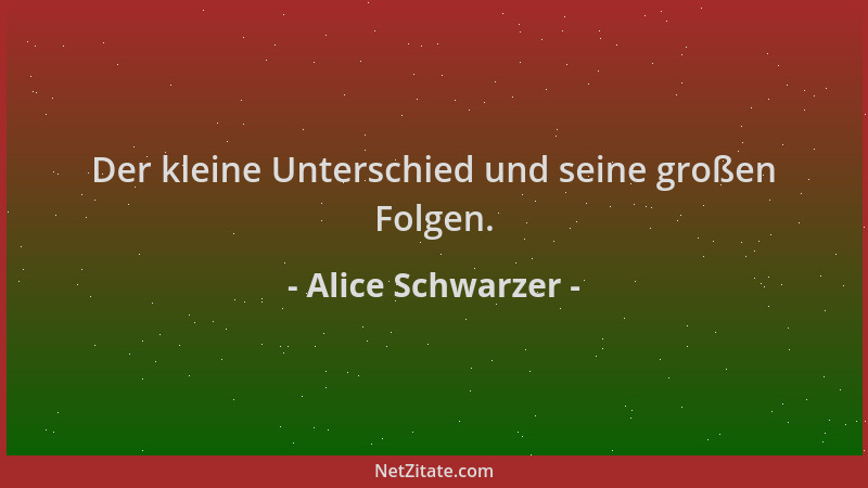 Alice Schwarzer - Der kleine Unterschied und seine großen Folgen....