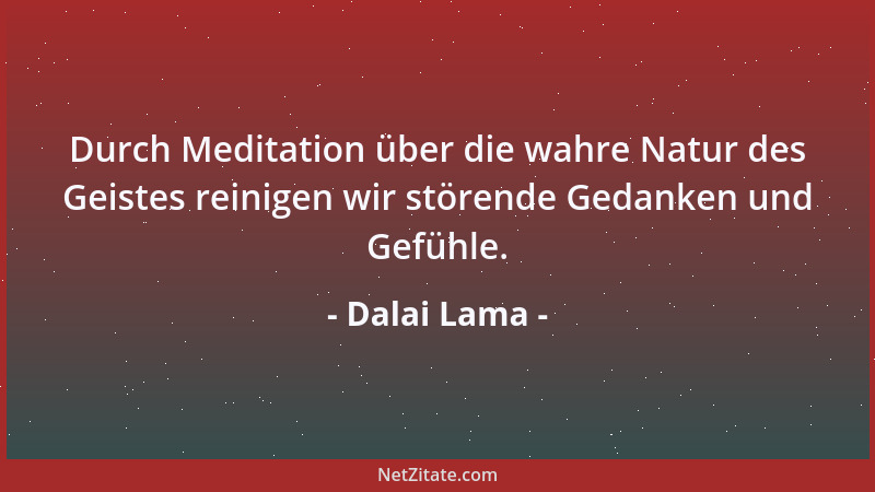 Dalai Lama - Durch Meditation über die wahre Natur des Geistes reinigen wir störende Gedanken und Gefühle....