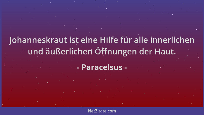 Paracelsus - Johanneskraut ist eine Hilfe für alle innerlichen und äußerlichen Öffnungen der Haut....