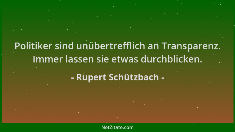Rupert Schützbach - Politiker sind unübertrefflich an Transparenz. Immer lassen sie etwas durchblicken....