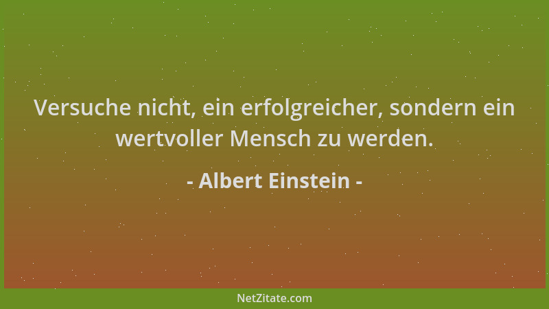 Albert Einstein - Versuche nicht, ein erfolgreicher, sondern ein wertvoller Mensch zu werden....