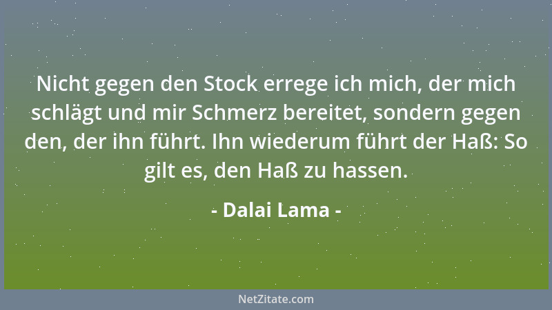 Dalai Lama - Nicht gegen den Stock errege ich mich, der mich schlägt und mir Schmerz bereitet, sondern gegen den, der ihn f...