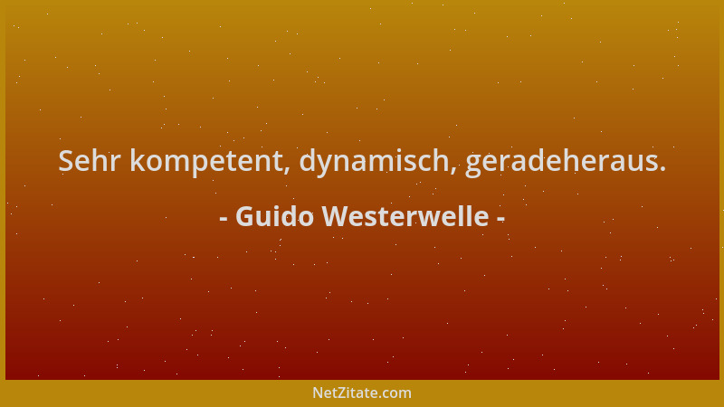Guido Westerwelle - Sehr kompetent, dynamisch, geradeheraus....
