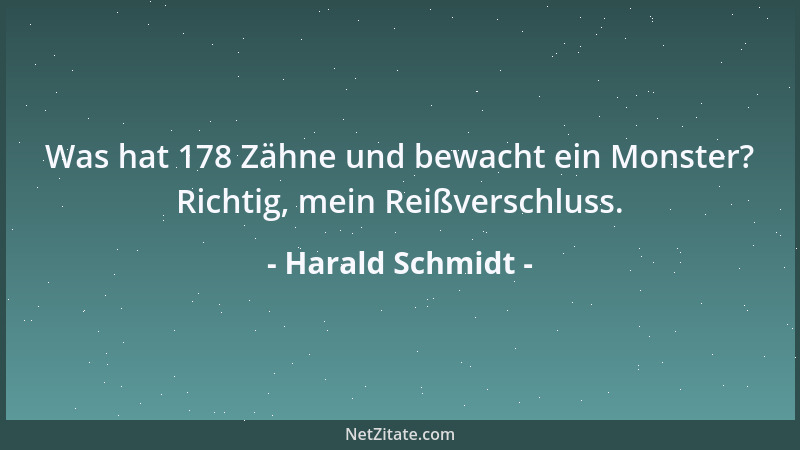 Harald Schmidt - Was hat 178 Zähne und bewacht ein Monster? Richtig, mein Reißverschluss....