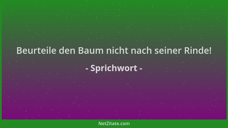 Sprichwort - Beurteile den Baum nicht nach seiner Rinde!...