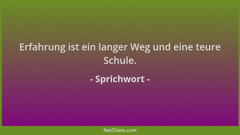 Sprichwort - Erfahrung ist ein langer Weg und eine teure Schule....