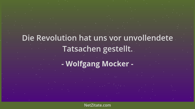 Wolfgang Mocker - Die Revolution hat uns vor unvollendete Tatsachen gestellt....