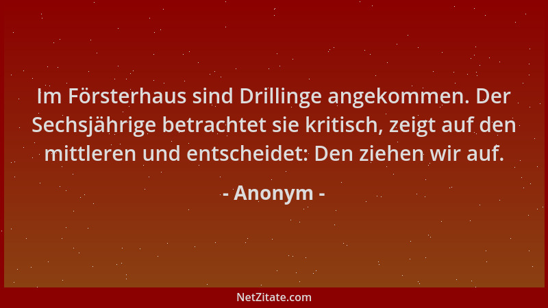 Anonym - Im Försterhaus sind Drillinge angekommen. Der Sechsjährige betrachtet sie kritisch, zeigt auf den mittleren und en...