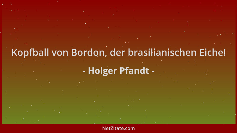 Holger Pfandt - Kopfball von Bordon, der brasilianischen Eiche!...
