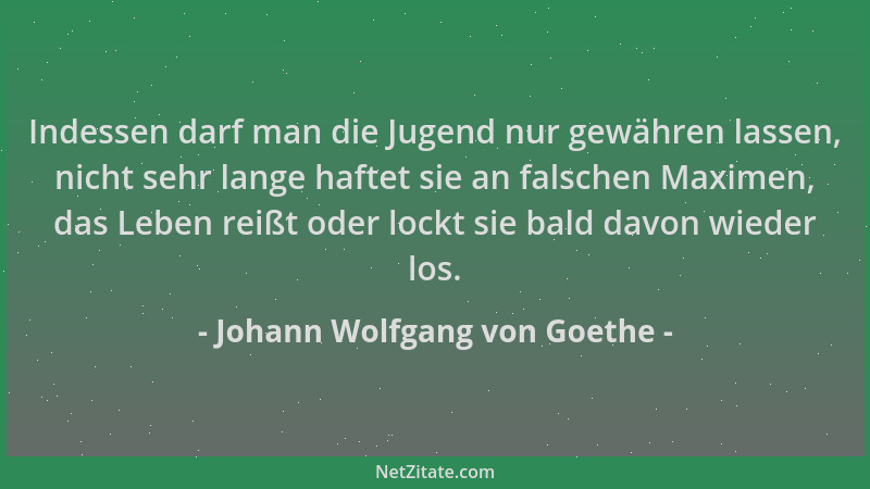 Johann Wolfgang von Goethe - Indessen darf man die Jugend nur gewähren lassen, nicht sehr lange haftet sie an falschen Maxi...