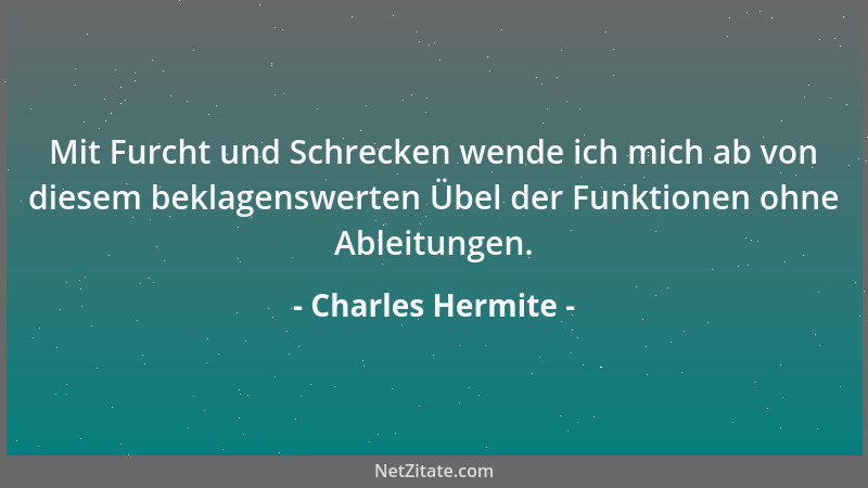 Charles Hermite - Mit Furcht und Schrecken wende ich mich ab von diesem beklagenswerten Übel der Funktionen ohne Ableitunge...