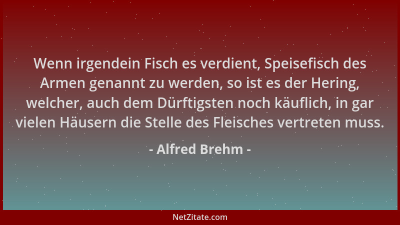 Alfred Brehm - Wenn irgendein Fisch es verdient, Speisefisch des Armen genannt zu werden, so ist es der Hering, welcher, au...