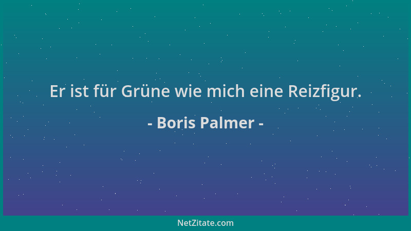 Boris Palmer - Er ist für Grüne wie mich eine Reizfigur....