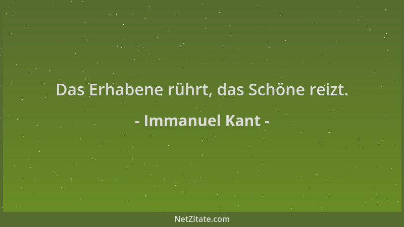 Immanuel Kant - Das Erhabene rührt, das Schöne reizt....