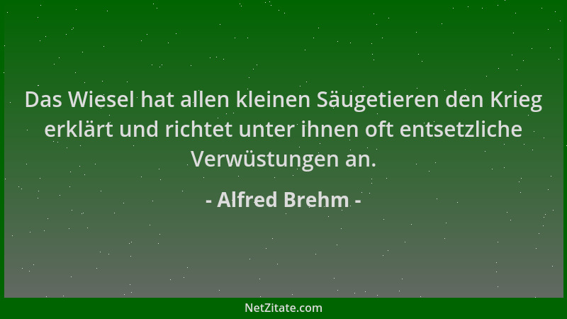 Alfred Brehm - Das Wiesel hat allen kleinen Säugetieren den Krieg erklärt und richtet unter ihnen oft entsetzliche Verwüstu...