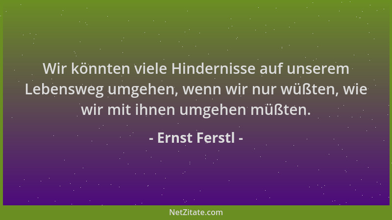 Ernst Ferstl - Wir könnten viele Hindernisse auf unserem Lebensweg umgehen, wenn wir nur wüßten, wie wir mit ihnen umgehen...