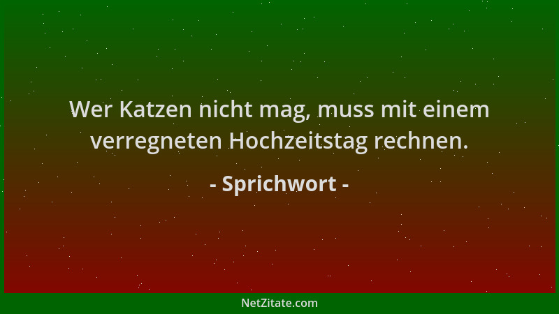 Sprichwort - Wer Katzen nicht mag, muss mit einem verregneten Hochzeitstag rechnen....