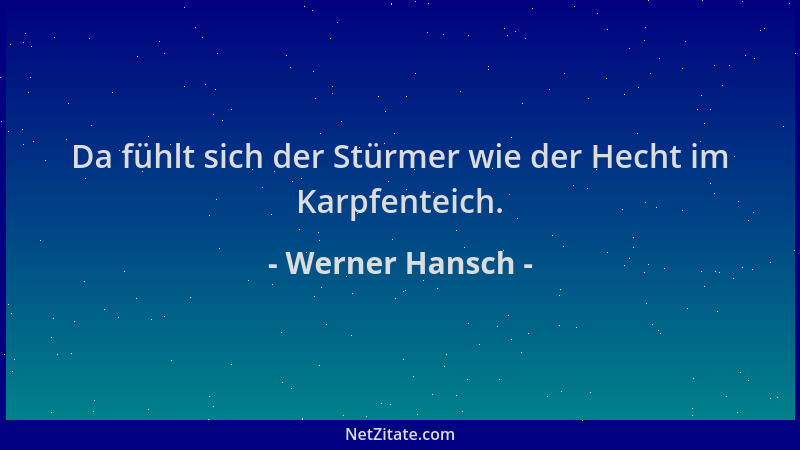 Werner Hansch - Da fühlt sich der Stürmer wie der Hecht im Karpfenteich....