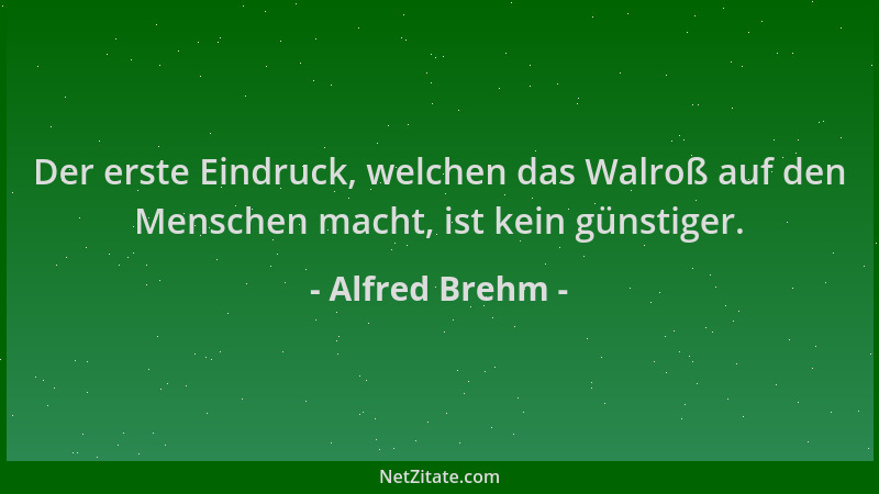 Alfred Brehm - Der erste Eindruck, welchen das Walroß auf den Menschen macht, ist kein günstiger....