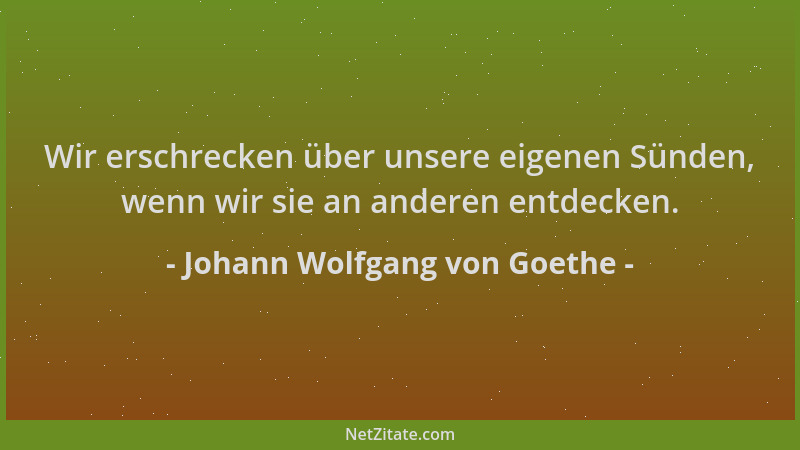 Johann Wolfgang von Goethe - Wir erschrecken über unsere eigenen Sünden, wenn wir sie an anderen entdecken....