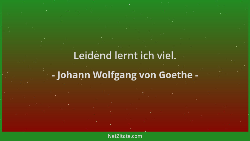 Johann Wolfgang von Goethe - Leidend lernt ich viel....