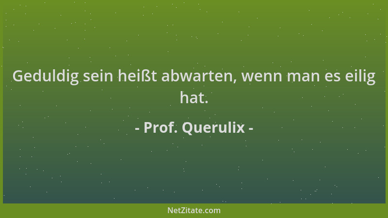 Prof. Querulix - Geduldig sein heißt abwarten, wenn man es eilig hat....