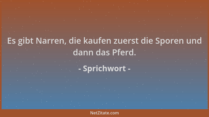 Sprichwort - Es gibt Narren, die kaufen zuerst die Sporen und dann das Pferd....