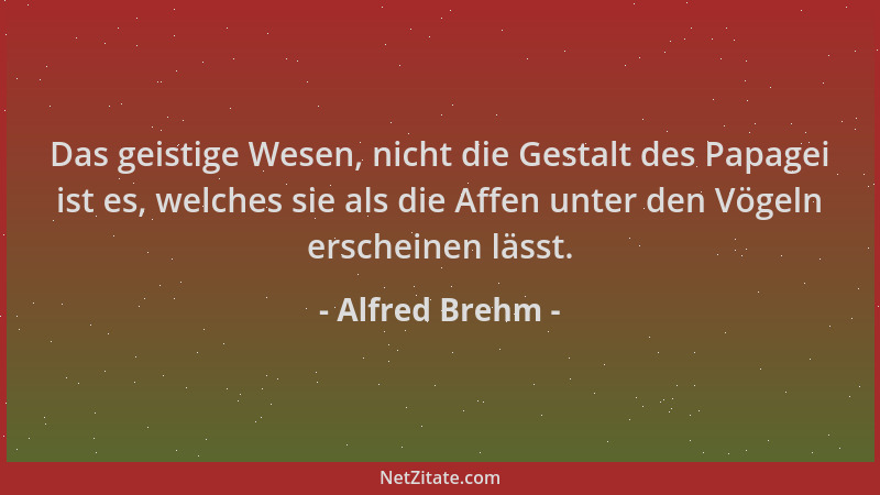 Alfred Brehm - Das geistige Wesen, nicht die Gestalt des Papagei ist es, welches sie als die Affen unter den Vögeln erschei...