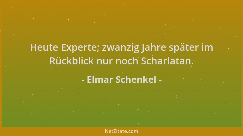Elmar Schenkel - Heute Experte; zwanzig Jahre später im Rückblick nur noch Scharlatan....