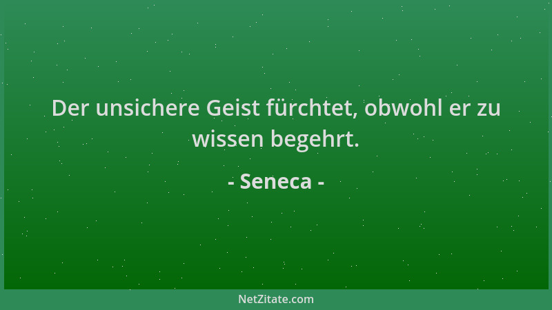 Seneca - Der unsichere Geist fürchtet, obwohl er zu wissen begehrt....