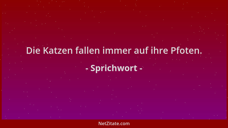 Sprichwort - Die Katzen fallen immer auf ihre Pfoten....