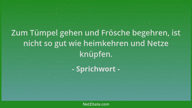 Sprichwort - Zum Tümpel gehen und Frösche begehren, ist nicht so gut wie heimkehren und Netze knüpfen....